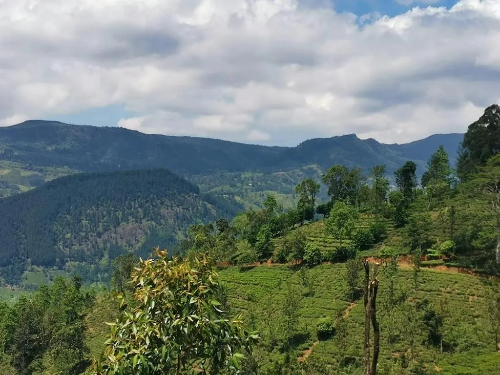 Trident Bungalow Kandy