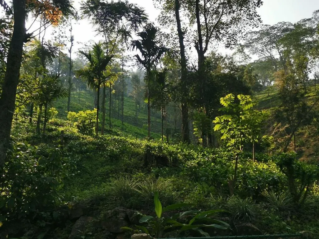 Trident Bungalow Kandy 0*,
