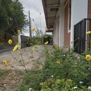 Windy Hanthana Kandy